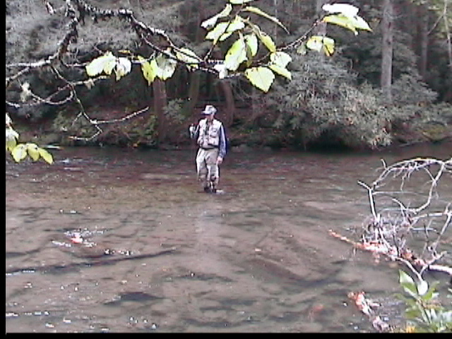 Abrams Creek Watershed - Fly Fishing Smoky Mountains