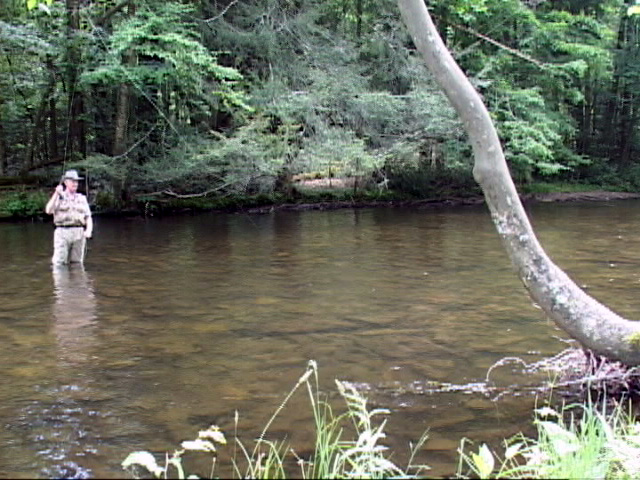 Cataloochee Creek Watershed - Fly Fishing Smoky Mountains