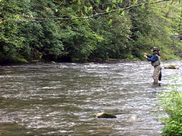 Where to Fish - April, May, June - Fly Fishing Smoky Mountains