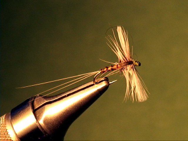 Flies - Fly Fishing Smoky Mountains