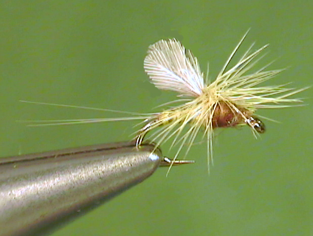 Flies To Bring With You - Fly Fishing Smoky Mountains