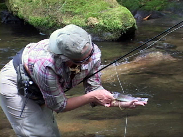 Twentymile Creek Watershed - Fly Fishing Smoky Mountains